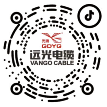 远光电缆